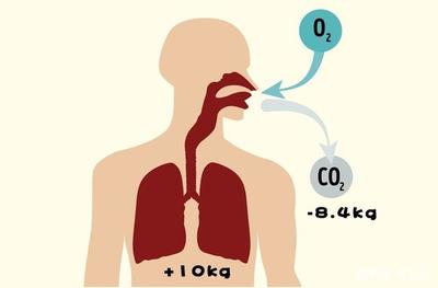 揭開隱藏的帷幕 關于氣體，九個人們罕知的奇妙冷知識