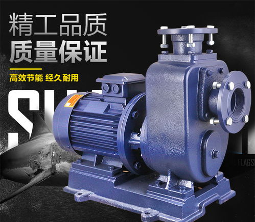 直聯式自吸無堵塞排污泵 高效可靠的自吸技術解析