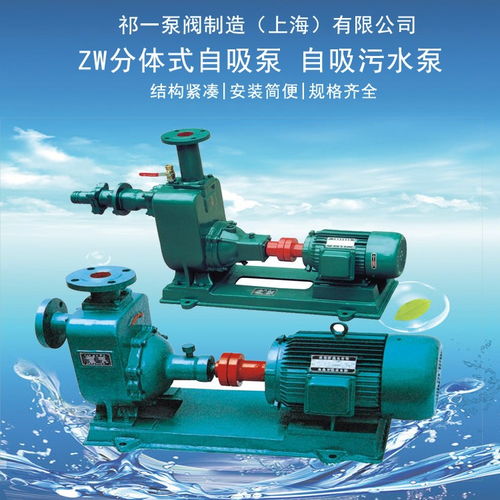 案例分析 C型無密封自吸泵與自吸氟塑料合金泵的市場與應(yīng)用（附錄）